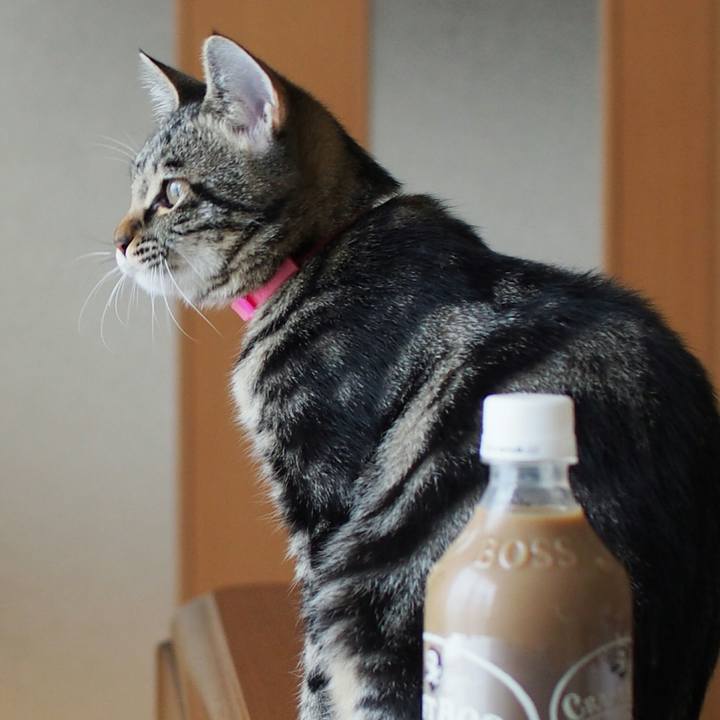 A925750d 29a2 4047 b6da 1fa3731bf14e