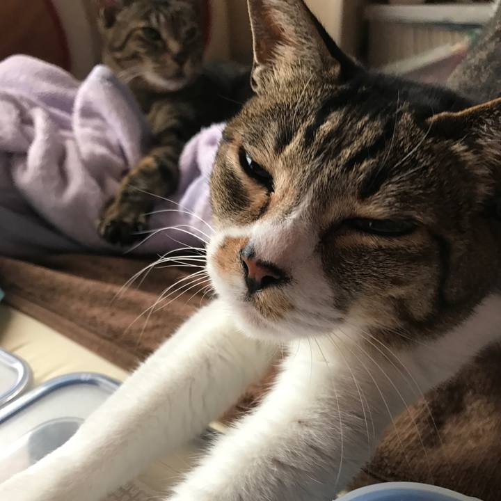 A925dabd 0a63 42d8 8725 0e79c224c33f