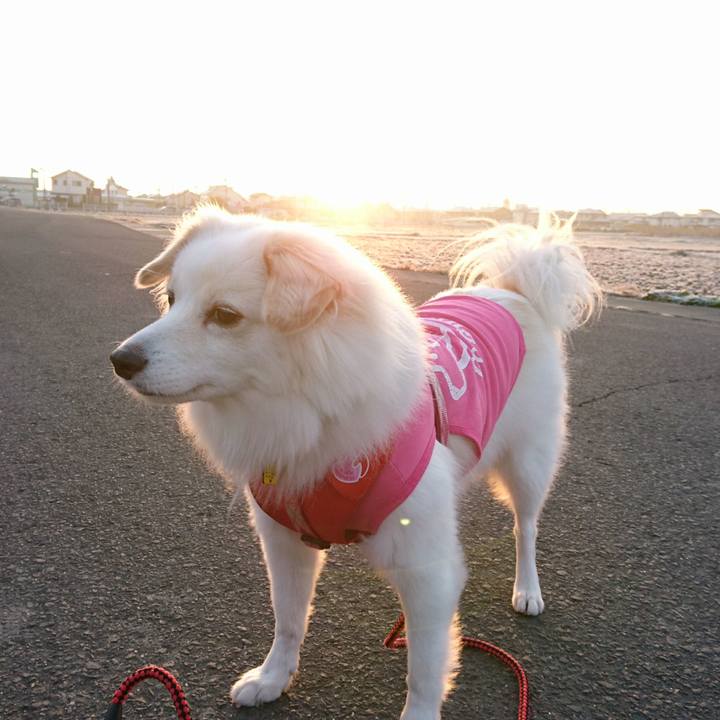 A926541f 2202 4b67 a071 6a29d1caeb34