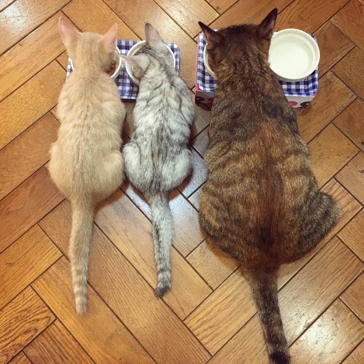 A927255a 67cd 4df1 b010 dfbd47bff28a