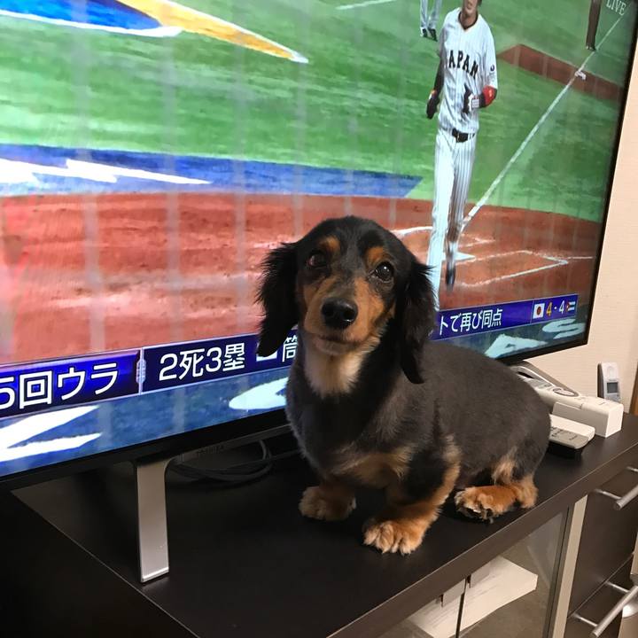 A9277187 4152 458d bb99 b01ce6c847ee