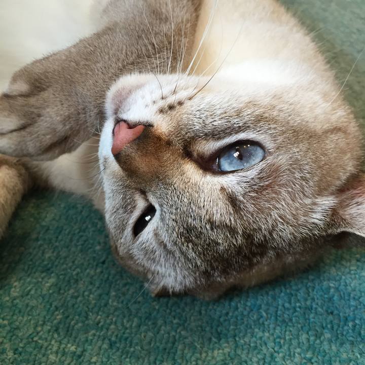 A927a505 86a5 4fbb 91a8 41f8377d30fb