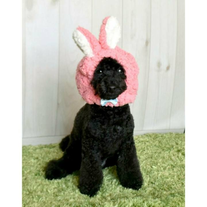 A927df71 20ed 4772 b063 24fec5cb672a