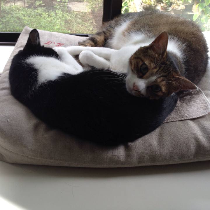 A9289e02 f63f 458b b5f7 db1397da65b2