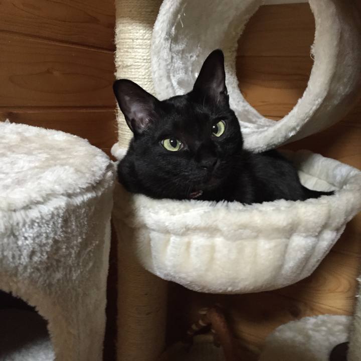 A928d1f8 9b58 4919 9830 d132d80e55f5