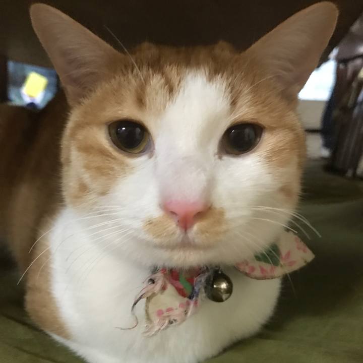 A92903d3 20a4 46bd 879d e6906031ee71