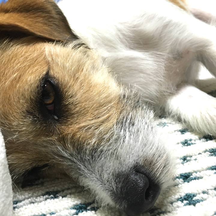 A9291020 a843 499a 83dd 5f775eef9d09