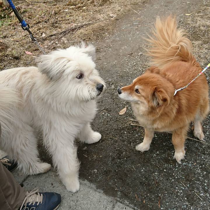 A9291959 6f15 4050 8f69 0bf7dbd0f536