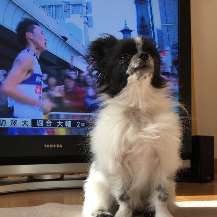 A9297bfa 5195 4c55 a1c5 75b1de7b82c2