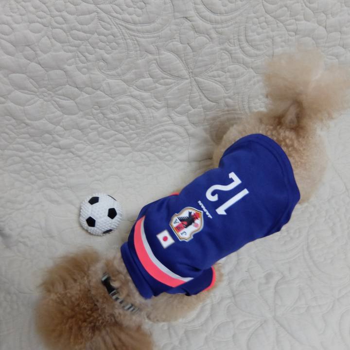 A929fefa ca6e 405a 8a24 92c388819e1a