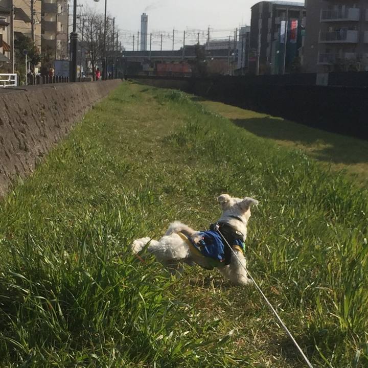 A92a9eb4 ac67 4e29 9d7e b575466b49ad