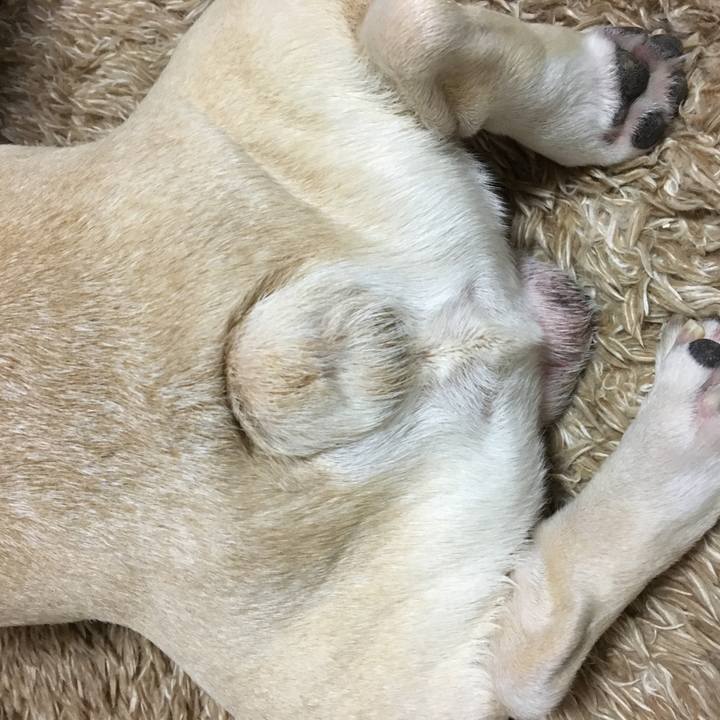 A92b3a44 f5c3 4732 b21a cd0217f6869d