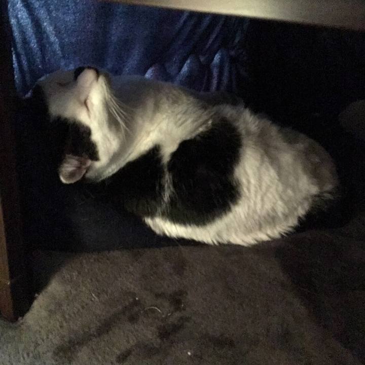 A92b3f67 6091 463a 813b db4d0925e8d9