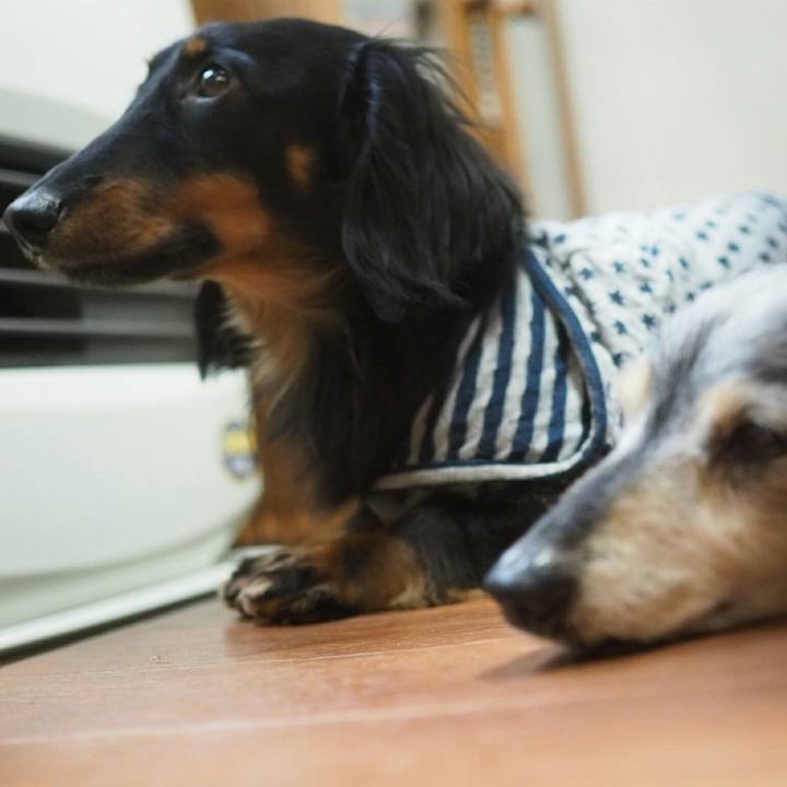 A92bd259 94af 4561 94fc c7f2a00a6cdd