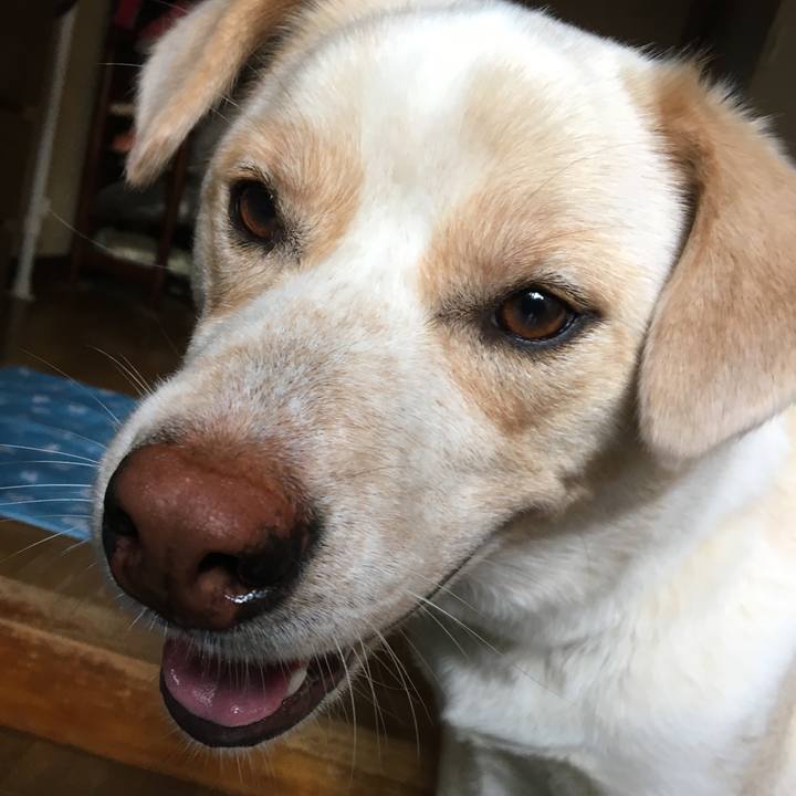 A92bf1d3 e6b3 4645 9fbb 443f42606139