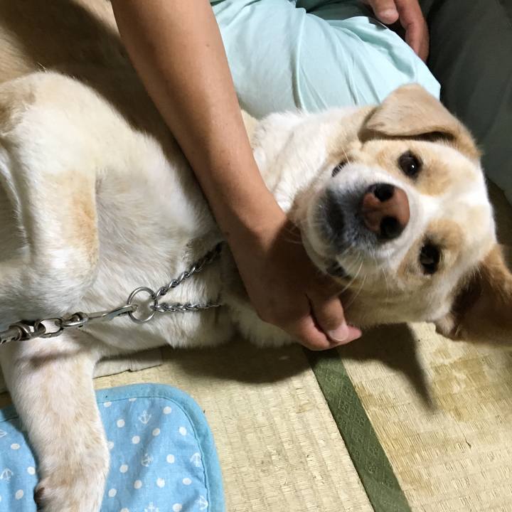 A92c4ce1 a785 4594 9031 f3544ac48c49