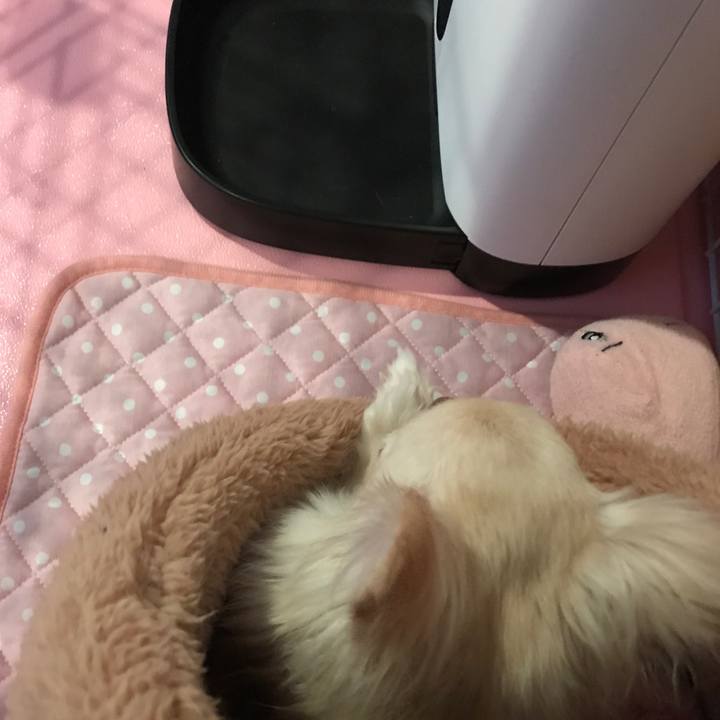 A92c75cf ec1f 4613 aee9 e54d19c71820