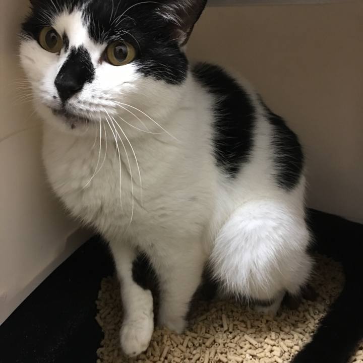 A92c8726 4509 4885 835e 2bc11718bf9a