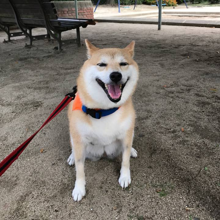 A92cb5c6 0a58 4dd5 8ebc d8b7efe4a2f8