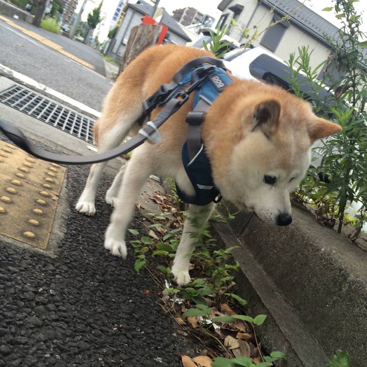 A92d5249 0e40 442d 827e f6df9a244f8c