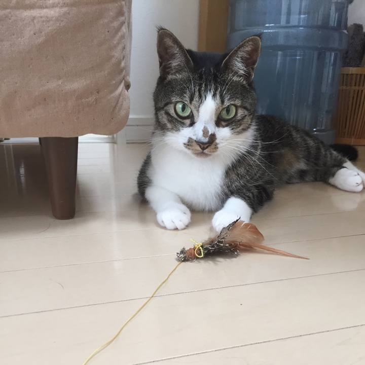 A92d57a0 8ae7 42dc b933 46379c382c0f