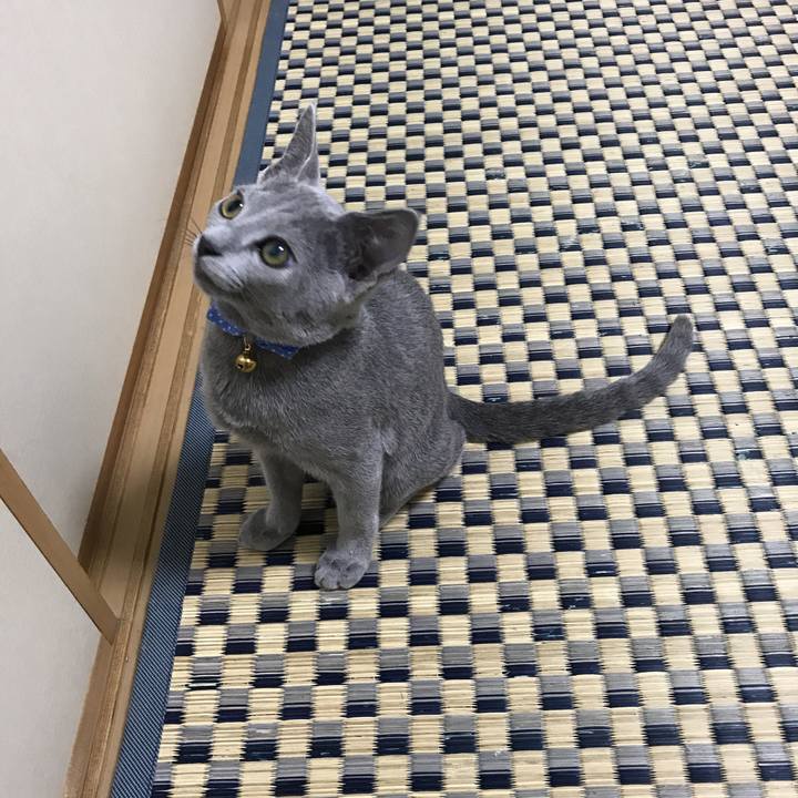 A92dad9f 3750 49aa bb75 b7317b5acd02