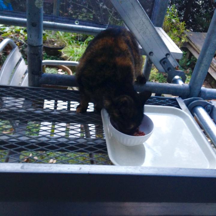 A92dbfdb 641d 4ceb 879f 55ed41805e70