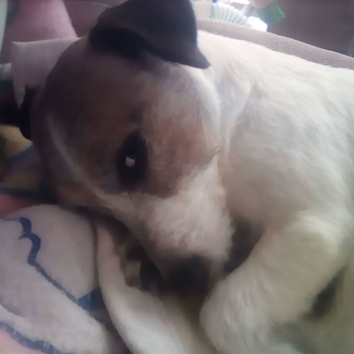 A92e9079 acf3 43ef b987 2cade9fd891c