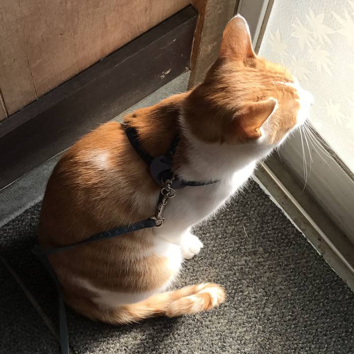 A93023d0 37a6 4e76 953c 2df33b10623b