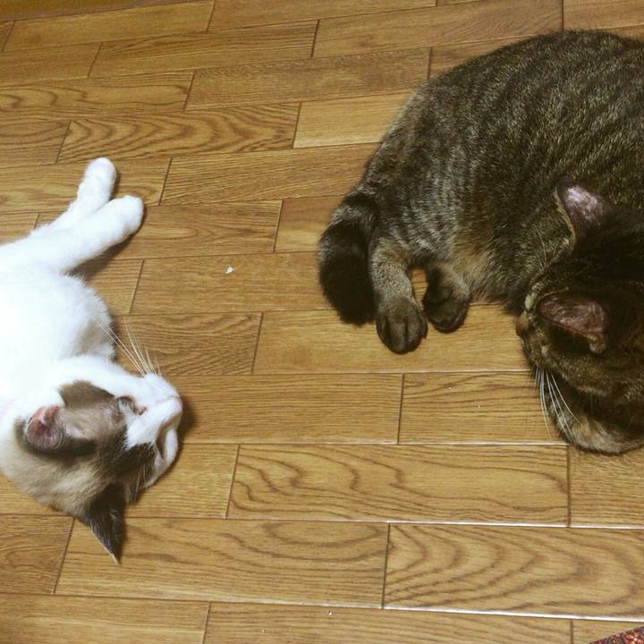 A930b4b6 a2aa 43cb aa35 5b7511dbd7c0