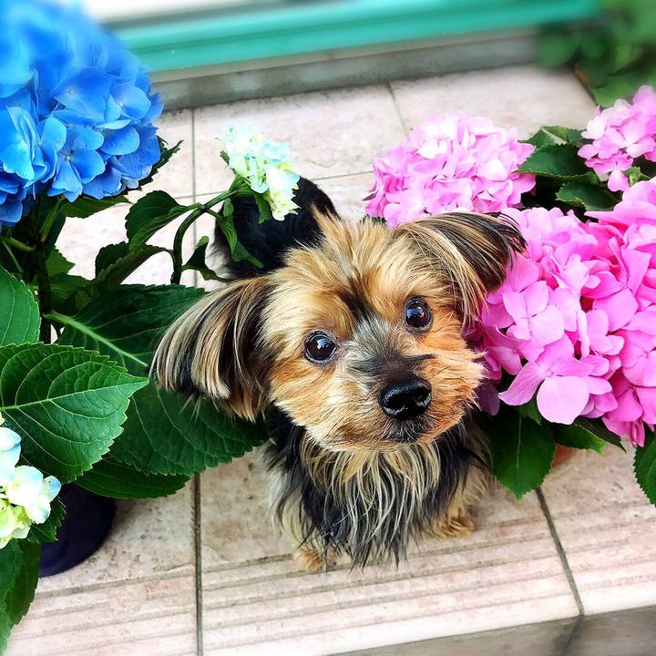 A930bd46 9b73 46de 9c92 8058898d7599