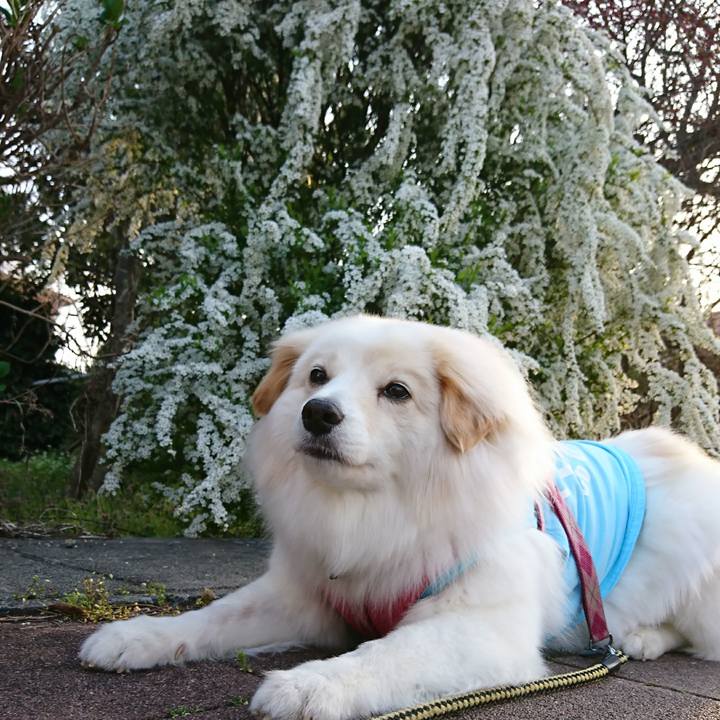 A9313614 ecc6 4c4c 9c14 57c839cce479