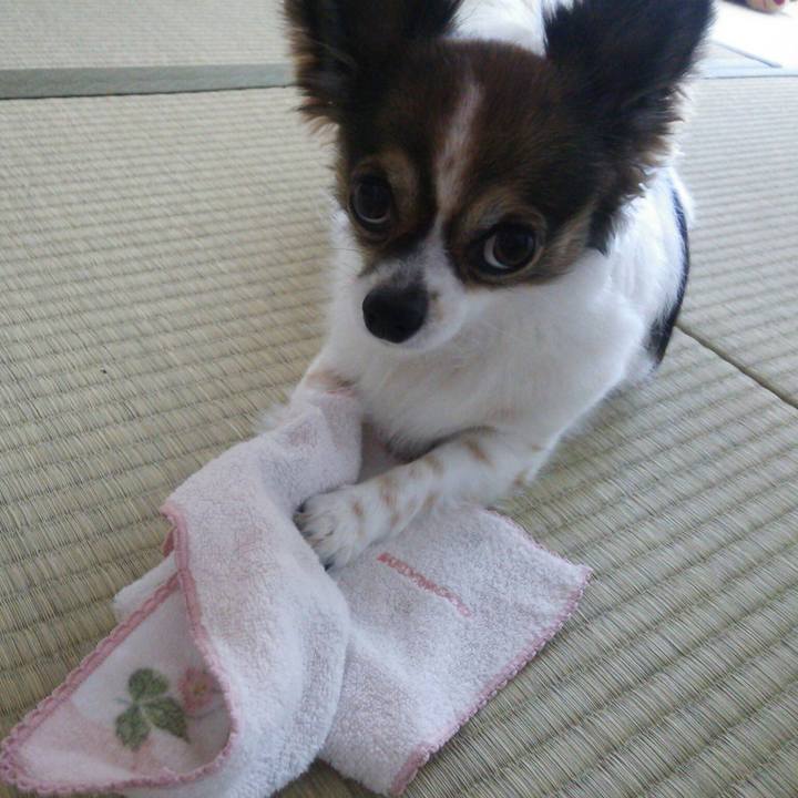 A9313814 bb1c 4418 9b01 5881fd5ba1cb