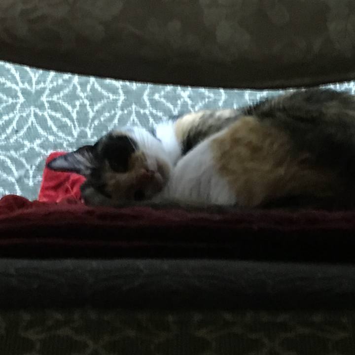 A9315d15 b372 4570 b559 377c0405b148