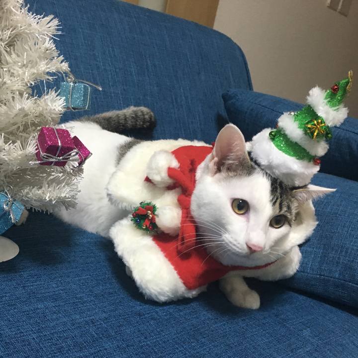 A9317f92 9d48 43f4 b8c8 16e8708543b2