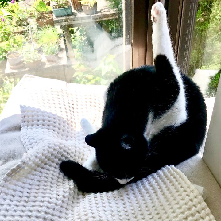 A931eb59 82aa 49a0 96ac e09257368104