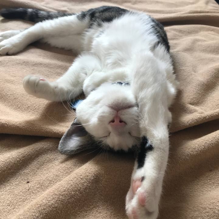 A9324679 aa2b 4a97 98e8 5807514f95e9