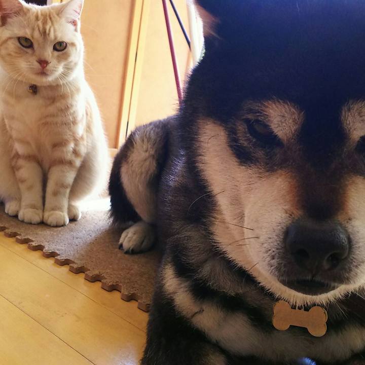 A932ed44 5ace 440f 8402 f6fb75d57a1b