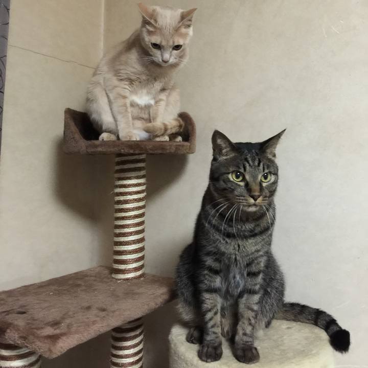 A9333383 de95 4a04 81da d7a0408e21cb