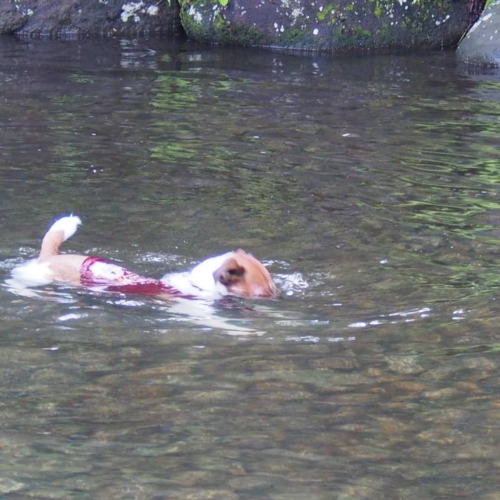 A9334b37 c63b 473c be28 f6bae3e1e0d3