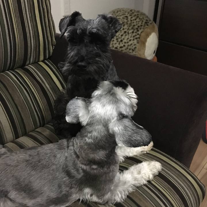 A933f9d8 b4e3 450b 874c b1fb256adf54