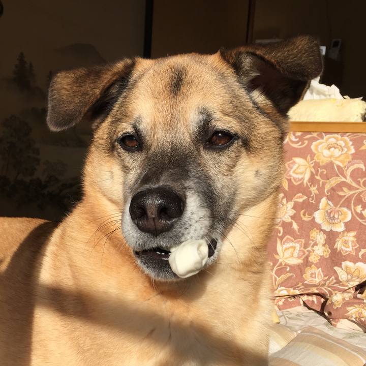 A93498e2 2fe2 49dd 852d 2950ff8539c8