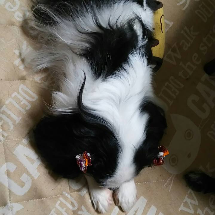 A93535f0 dac0 4596 bcb4 af12d0497bf4