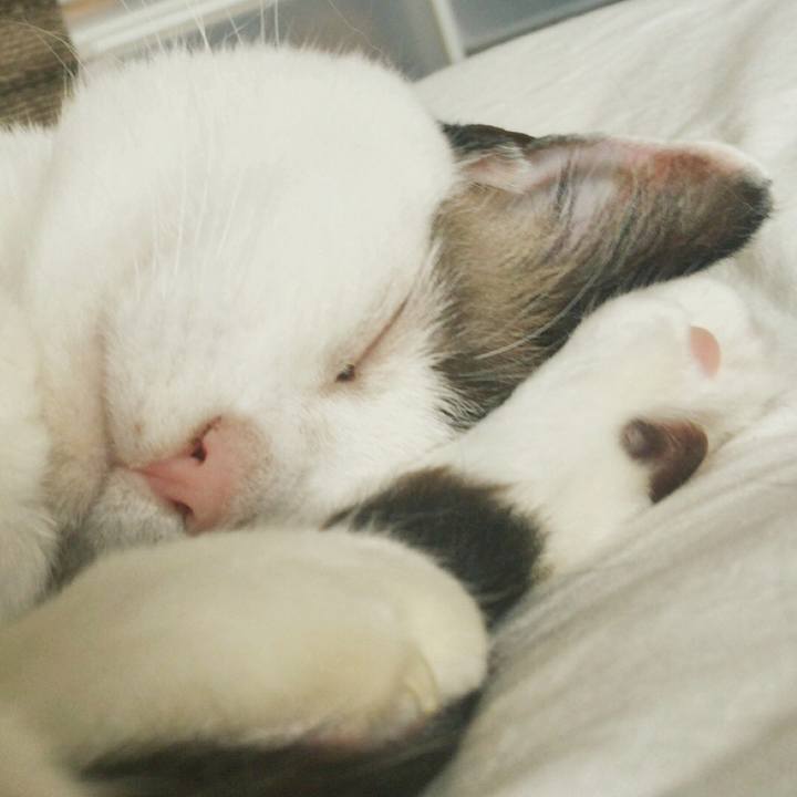 A9354ad6 f633 4569 8d1c 3e7b41a636f4