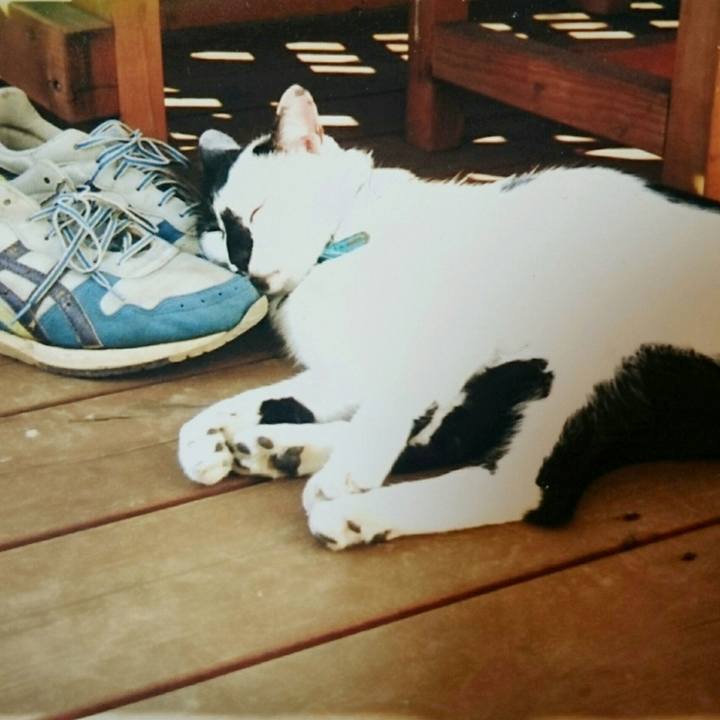 A93562b8 c38c 40ed 988d 749e83426975