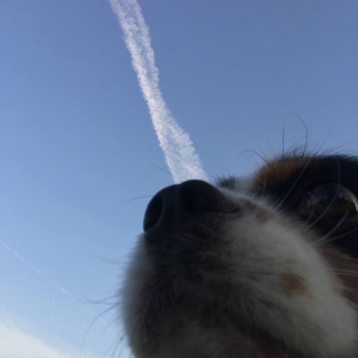 A935751f 0eb9 4f11 a77b 17c50e301a86