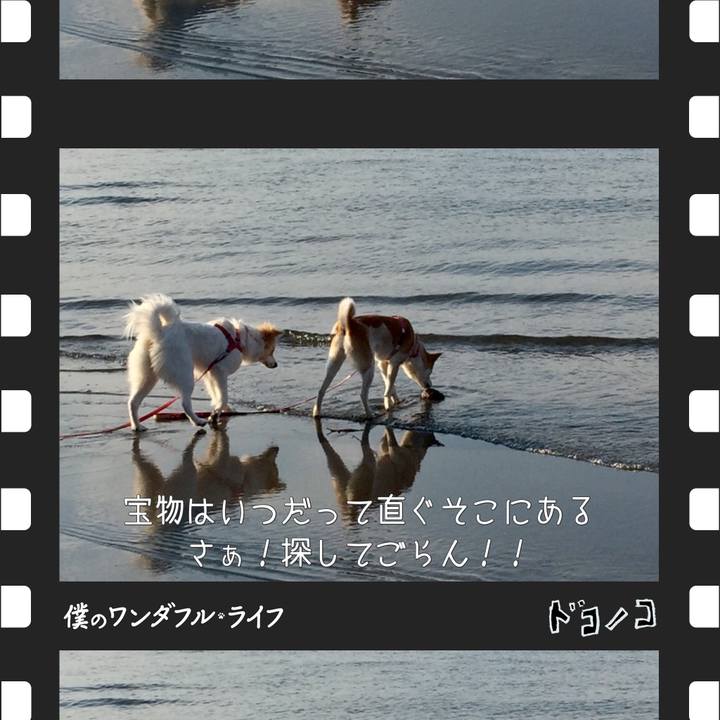 A9358a9b 80c0 4c4b 9e27 8b38eb2a0fe6