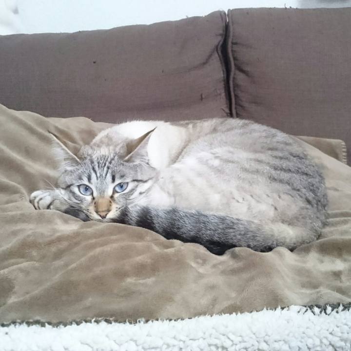 A936e2f4 0e5e 4f31 b583 c2bb434d70a5