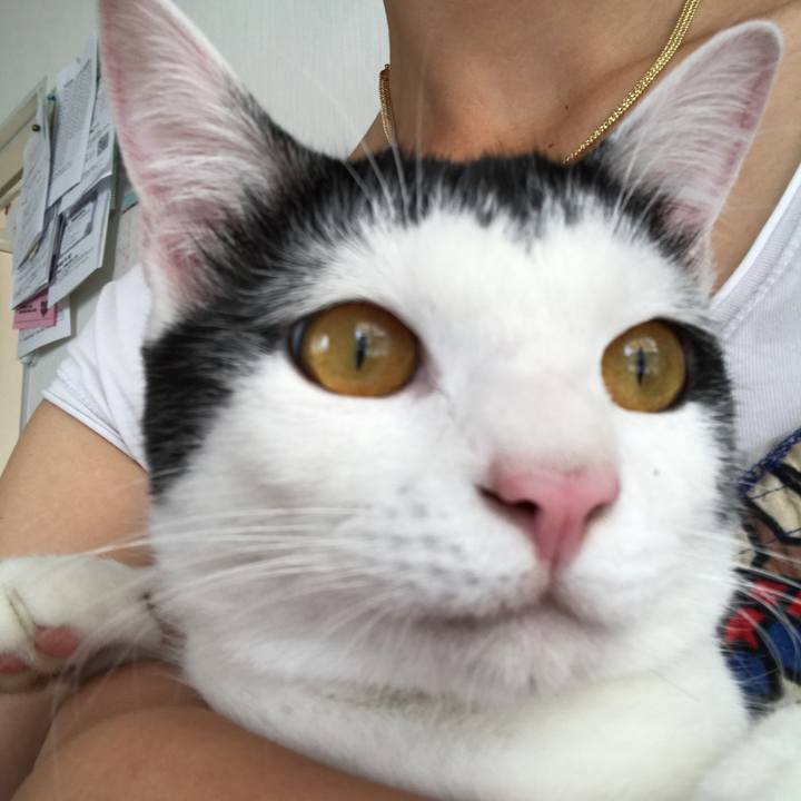 A9371d1c 2bf3 4a87 86fe 03a78019681e