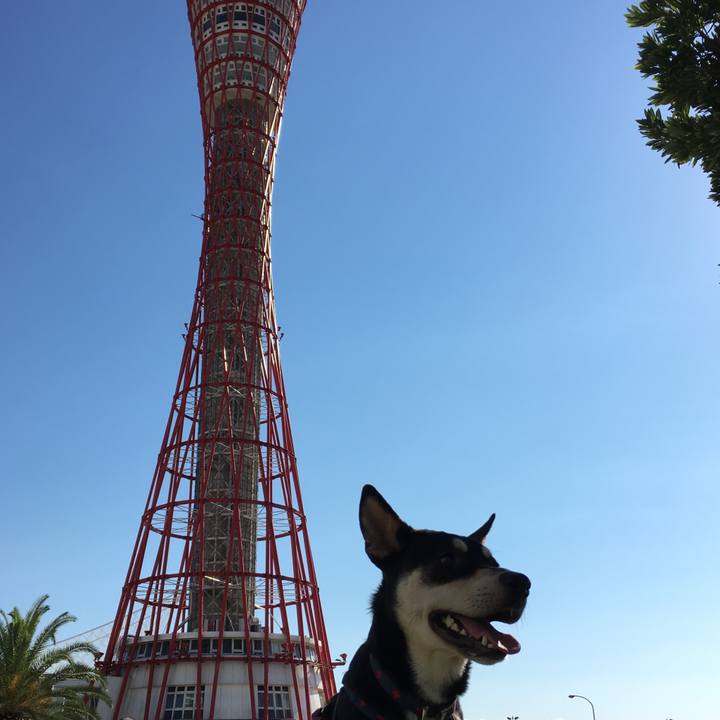 A937548e e5ca 452c a535 1320d5d17319